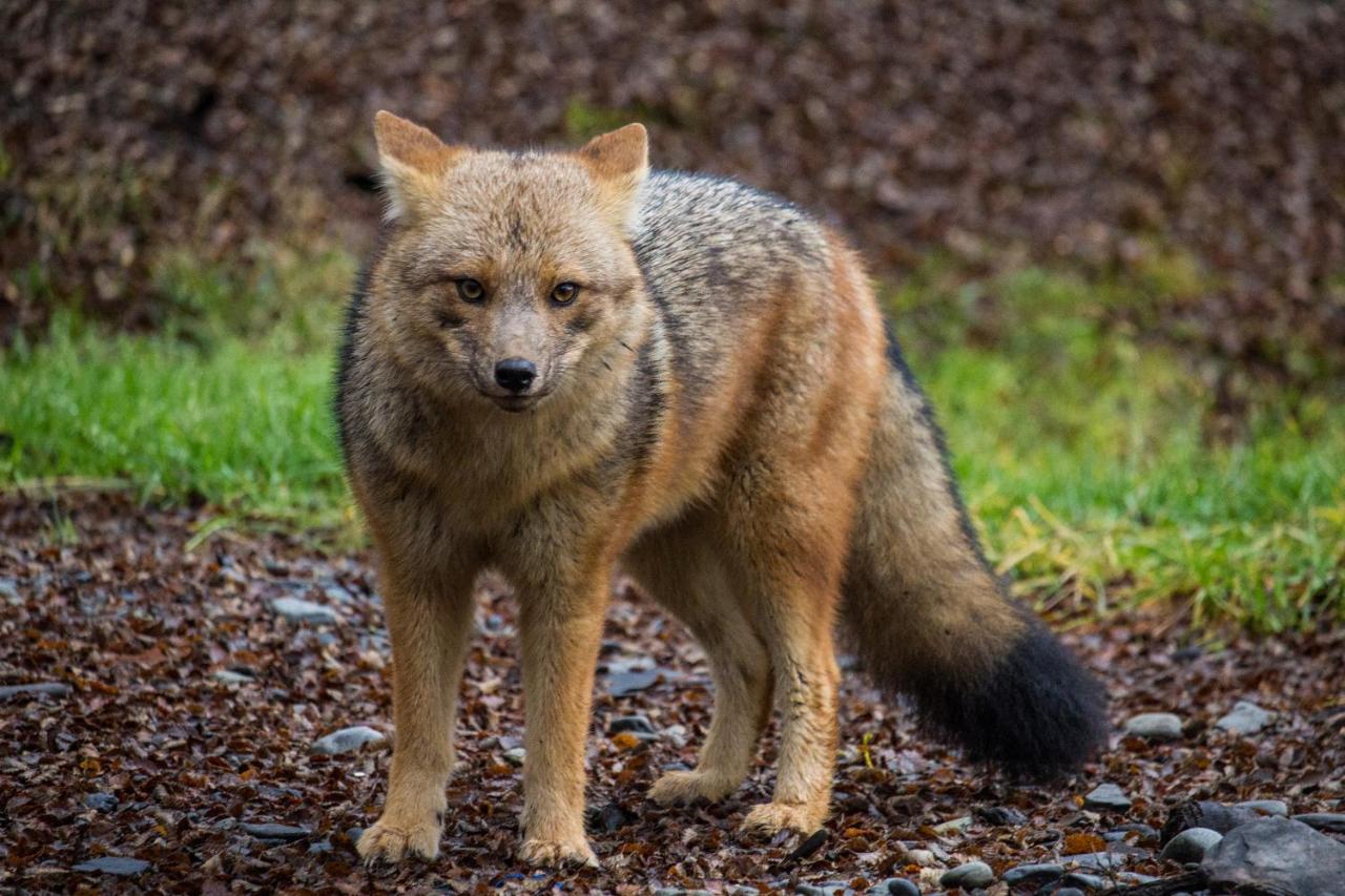 Calido Destino Daire Ushuaia Dış mekan fotoğraf